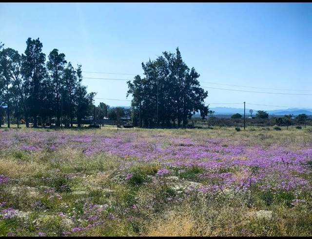 LAND FOR SALE IN HARTEBEESFONTEIN